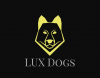 Club per cani: Lux Dogs