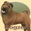 Dreamzer - allevatore di cani Dogzer